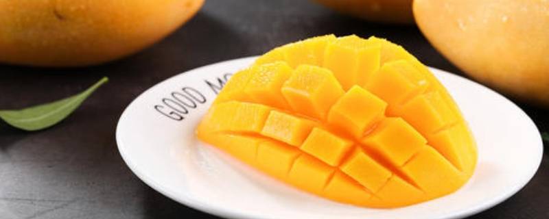 水仙芒的特点-墨子百科 水仙芒的特点