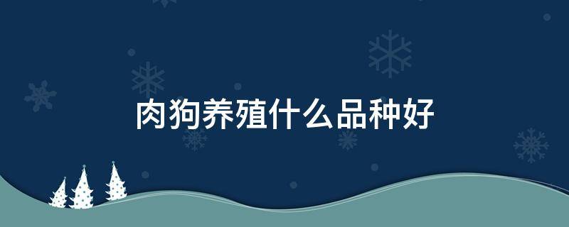 肉狗养殖什么品种好