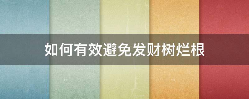 如何有效避免发财树烂根-墨子百科 如何有效避免发财树烂根