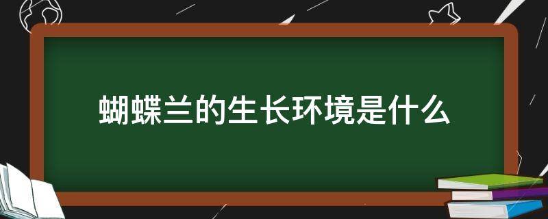 蝴蝶兰的生长环境是什么