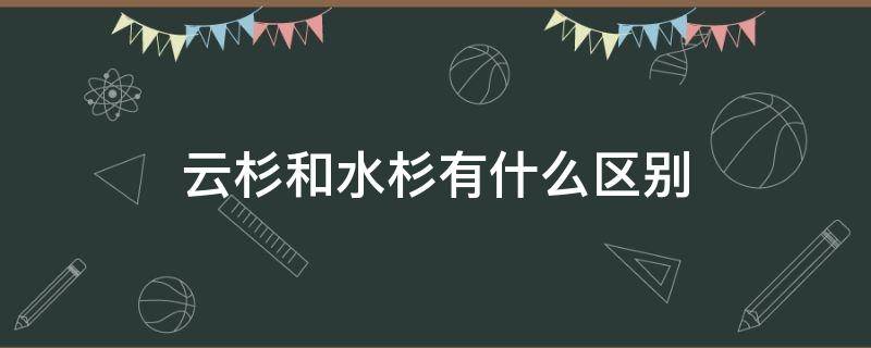 云杉和水杉有什么区别