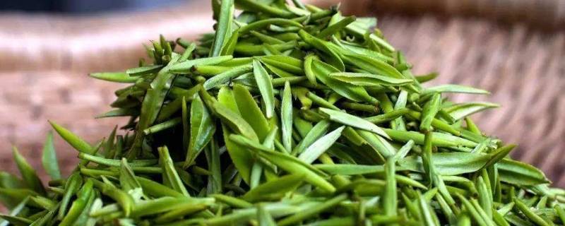 碧螺春怎么炒-墨子百科 碧螺春怎么炒