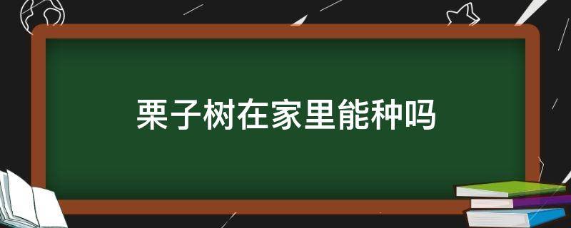 栗子树在家里能种吗