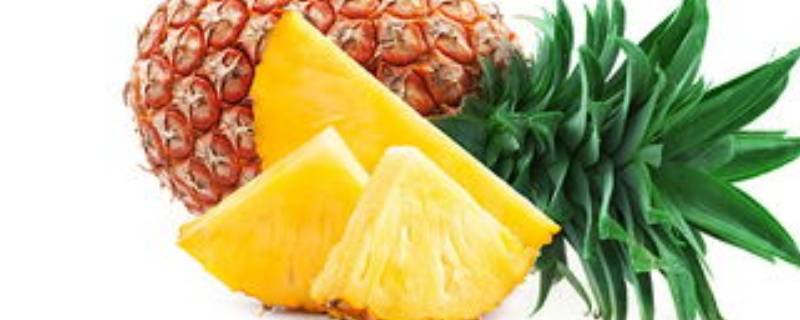 菠萝外面长毛能吃吗-墨子百科 菠萝外面长毛能吃吗