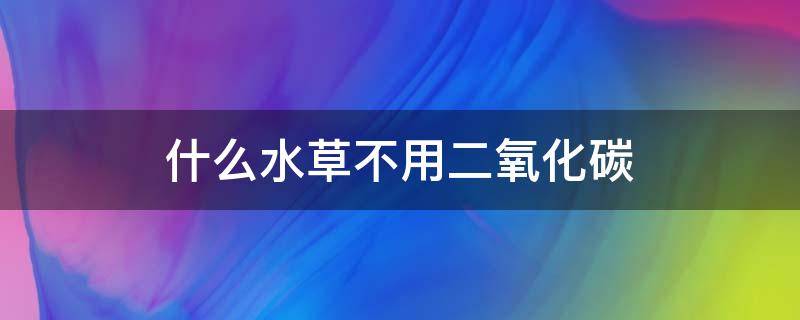 什么水草不用二氧化碳