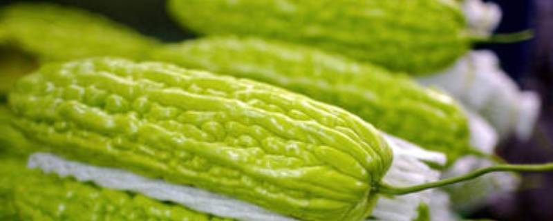 苦瓜怎么炒脆-墨子百科 苦瓜怎么炒脆