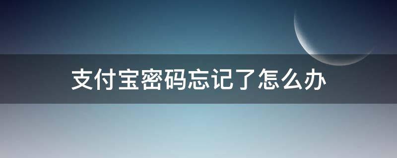 支付宝密码忘记了怎么办