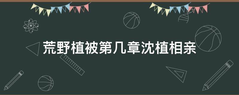 荒野植被第几章沈植相亲