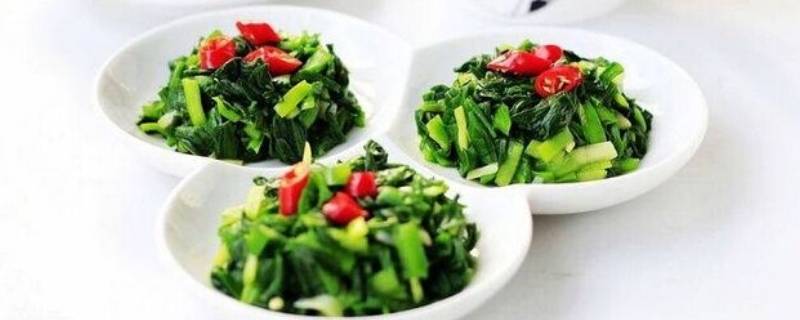 韭菜凉拌怎么做好吃窍门-墨子百科 韭菜凉拌怎么做好吃窍门