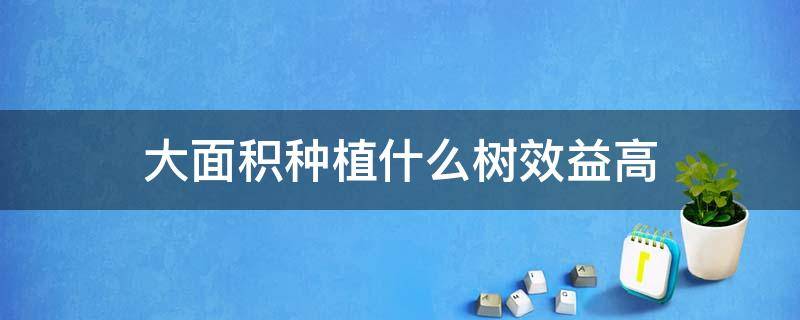 大面积种植什么树效益高