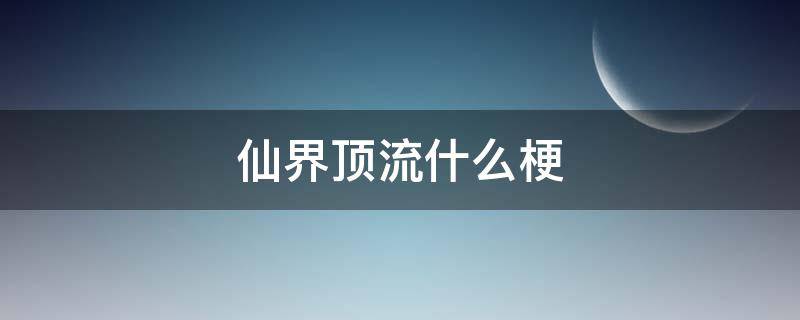 仙界顶流什么梗