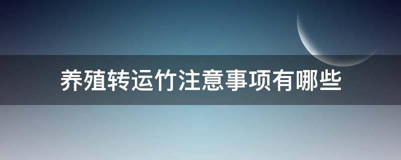 养殖转运竹注意事项有哪些