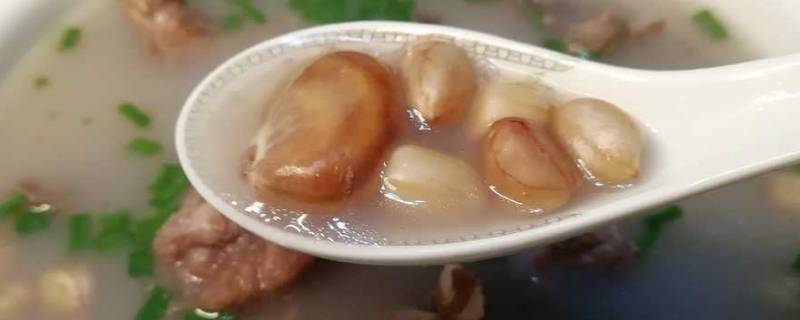 菠萝蜜籽怎么吃怎么煮