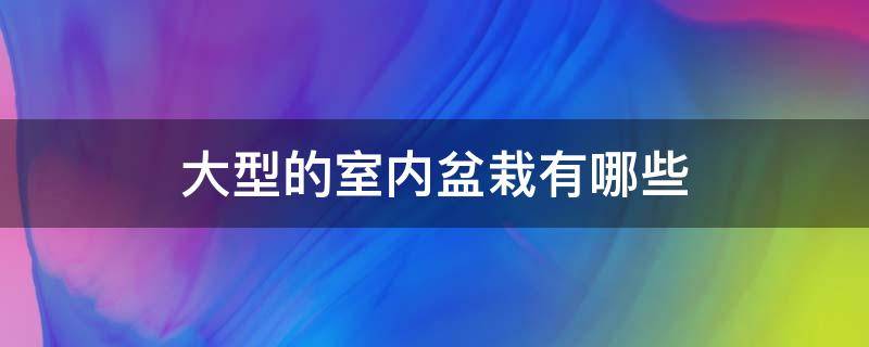 大型的室内盆栽有哪些