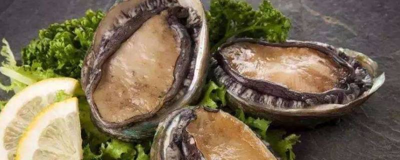 鲍鱼怎么炒好吃-墨子百科 鲍鱼怎么炒好吃