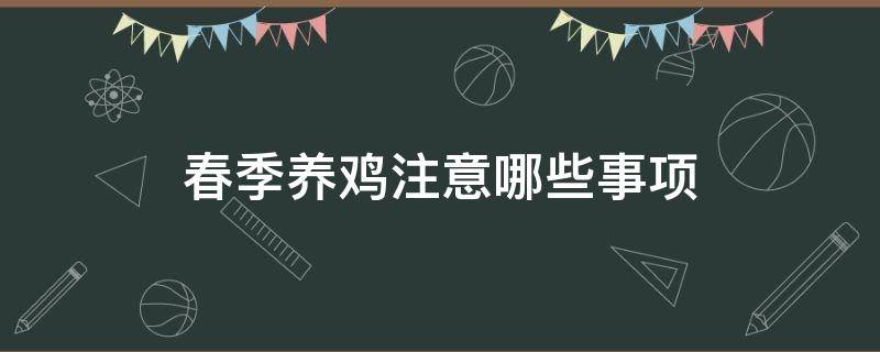 春季养鸡注意哪些事项