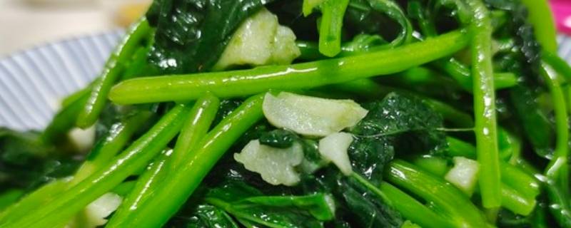 红暑叶子怎么做好吃-墨子百科 红暑叶子怎么做好吃