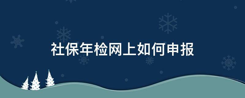 社保年检网上如何申报