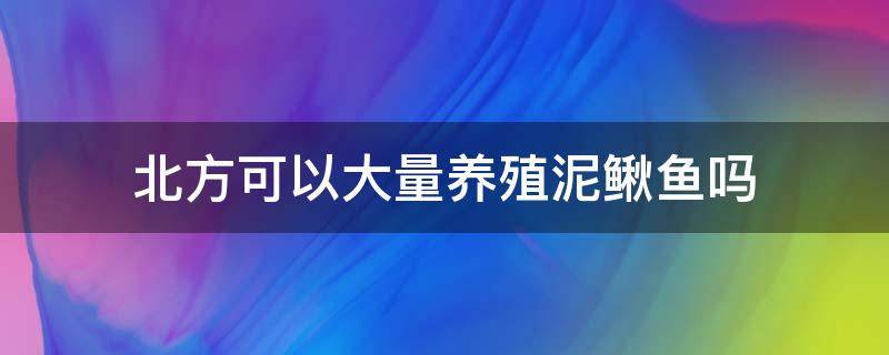 北方可以大量养殖泥鳅鱼吗