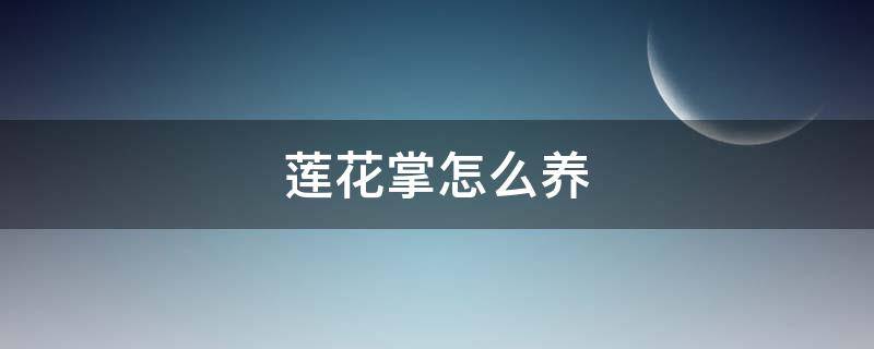 莲花掌怎么养