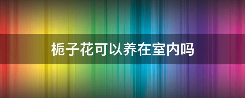 栀子花可以养在室内吗