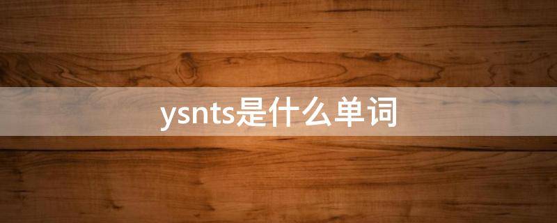 ysnts是什么单词