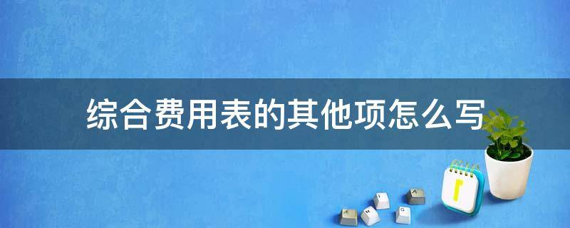 综合费用表的其他项怎么写