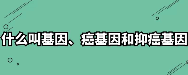 什么叫基因、癌基因和抑癌基因