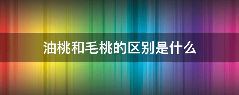 油桃和毛桃的区别是什么-墨子百科 油桃和毛桃的区别是什么