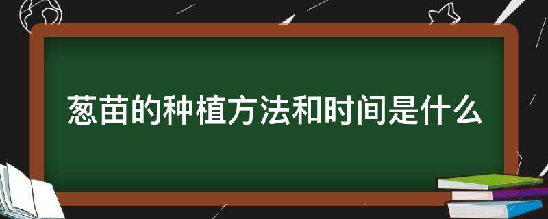 葱苗的种植方法和时间是什么