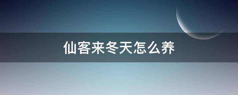 仙客来冬天怎么养