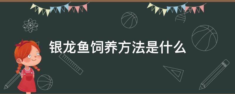 银龙鱼饲养方法是什么