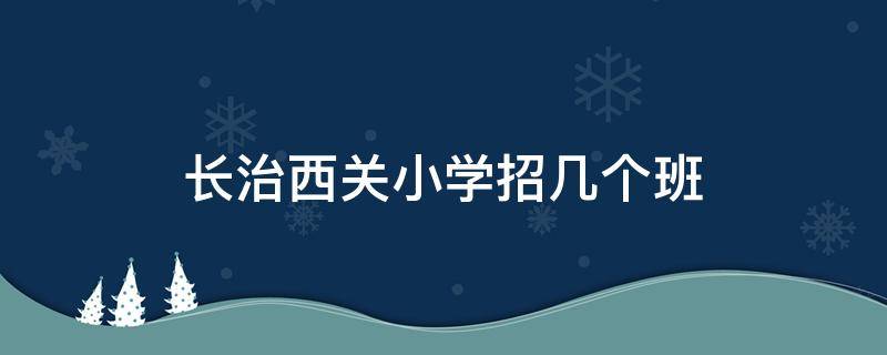 长治西关小学招几个班