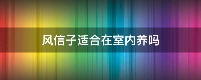 风信子适合在室内养吗