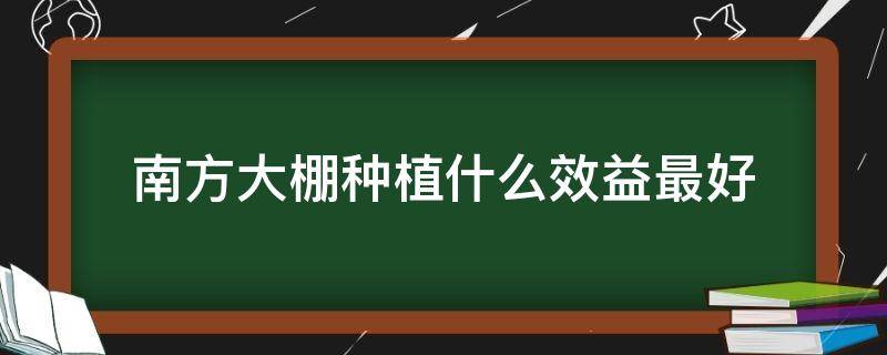 南方大棚种植什么效益最好