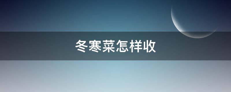 冬寒菜怎样收