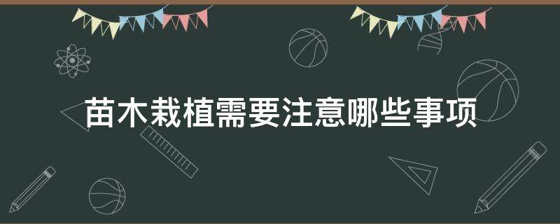 苗木栽植需要注意哪些事项