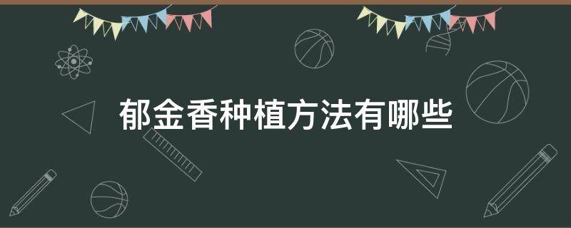 郁金香种植方法有哪些