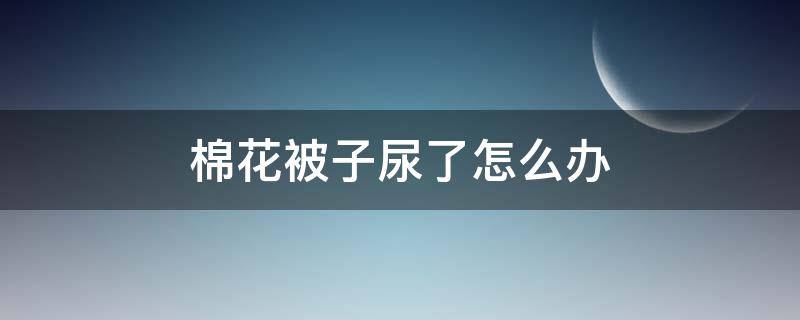 棉花被子尿了怎么办