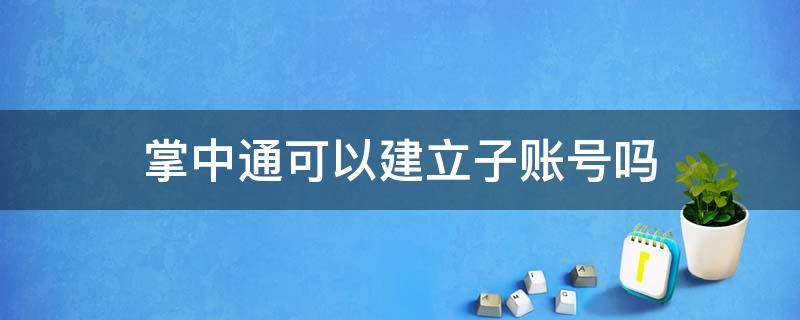 掌中通可以建立子账号吗