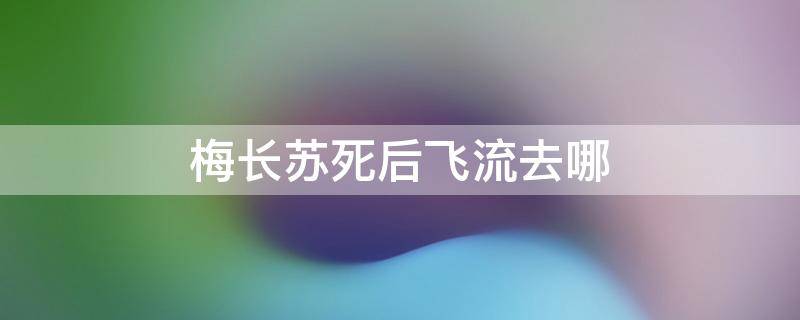 梅长苏死后飞流去哪