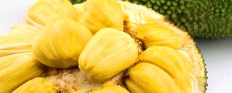菠萝蜜要用盐水泡吗-墨子百科 菠萝蜜要用盐水泡吗