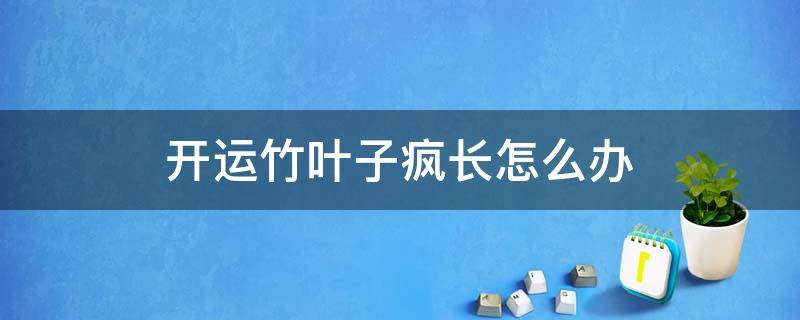 开运竹叶子疯长怎么办