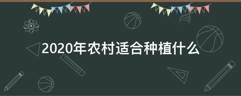 2023年农村适合种植什么