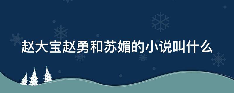 赵大宝赵勇和苏媚的小说叫什么