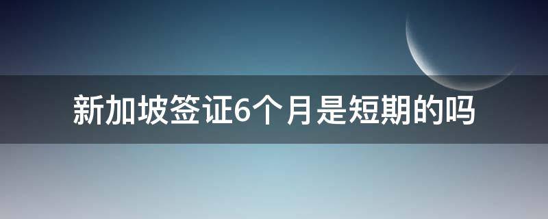 新加坡签证6个月是短期的吗