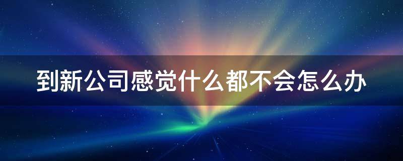 到新公司感觉什么都不会怎么办