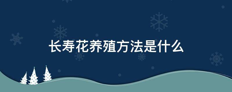 长寿花养殖方法是什么