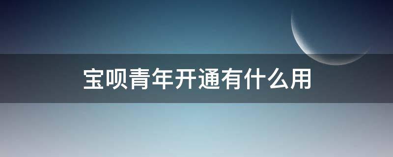 宝呗青年开通有什么用