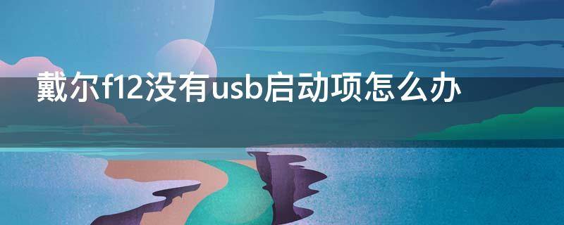 戴尔f12没有usb启动项怎么办